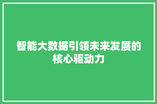 智能大数据引领未来发展的核心驱动力
