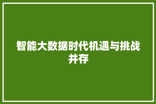智能大数据时代机遇与挑战并存