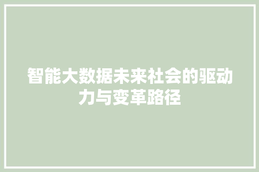 智能大数据未来社会的驱动力与变革路径
