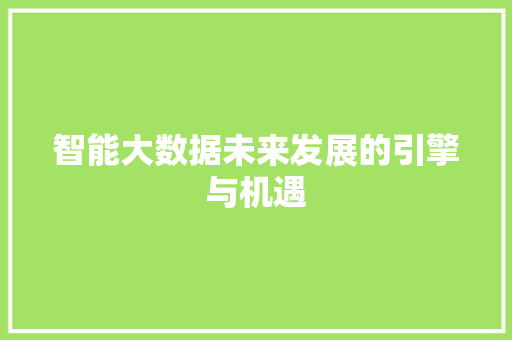 智能大数据未来发展的引擎与机遇