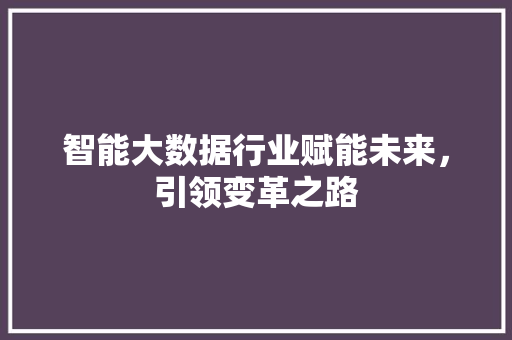 智能大数据行业赋能未来，引领变革之路