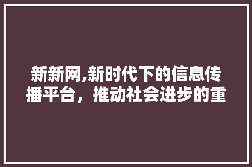 新新网,新时代下的信息传播平台，推动社会进步的重要力量