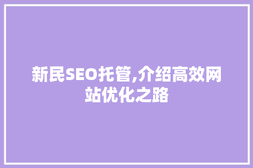 新民SEO托管,介绍高效网站优化之路
