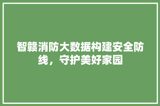 智赣消防大数据构建安全防线，守护美好家园