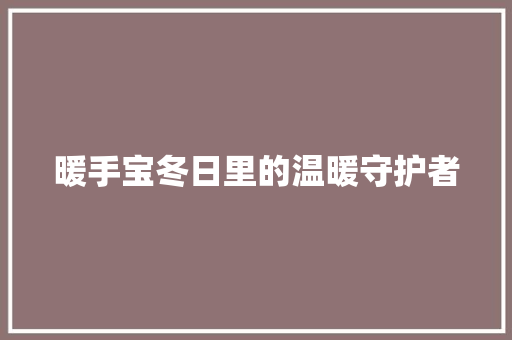 暖手宝冬日里的温暖守护者