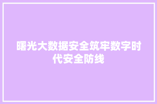 曙光大数据安全筑牢数字时代安全防线
