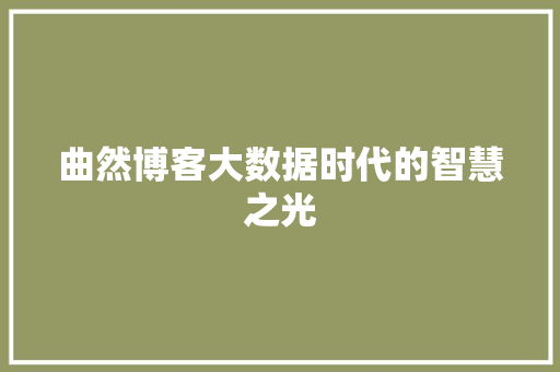 曲然博客大数据时代的智慧之光