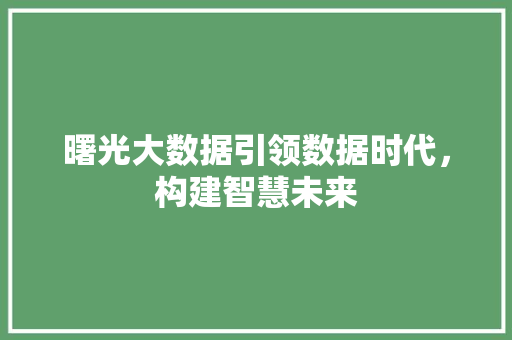 曙光大数据引领数据时代，构建智慧未来