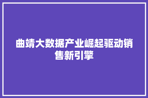 曲靖大数据产业崛起驱动销售新引擎