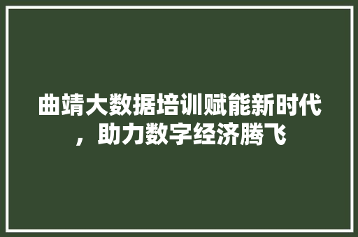 曲靖大数据培训赋能新时代，助力数字经济腾飞