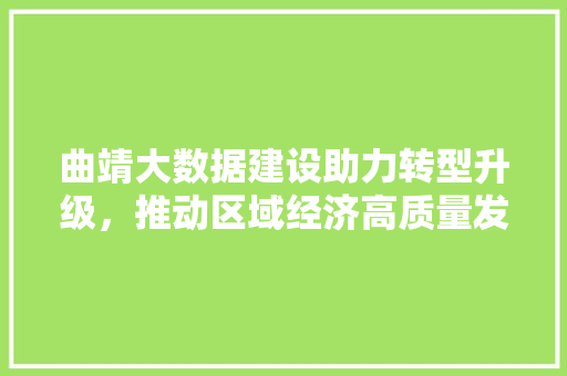 曲靖大数据建设助力转型升级，推动区域经济高质量发展