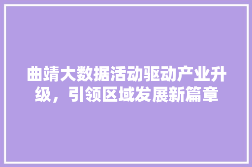 曲靖大数据活动驱动产业升级，引领区域发展新篇章