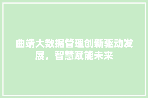 曲靖大数据管理创新驱动发展，智慧赋能未来