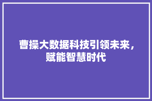曹操大数据科技引领未来，赋能智慧时代