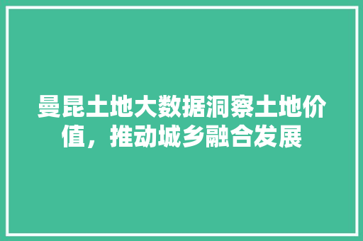曼昆土地大数据洞察土地价值，推动城乡融合发展