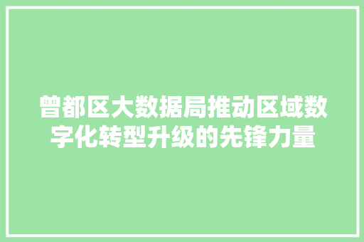 曾都区大数据局推动区域数字化转型升级的先锋力量