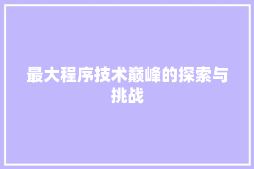 最大程序技术巅峰的探索与挑战