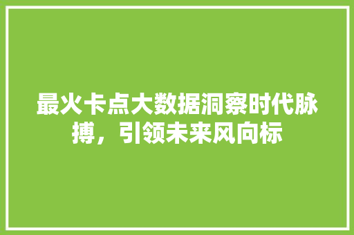 最火卡点大数据洞察时代脉搏，引领未来风向标