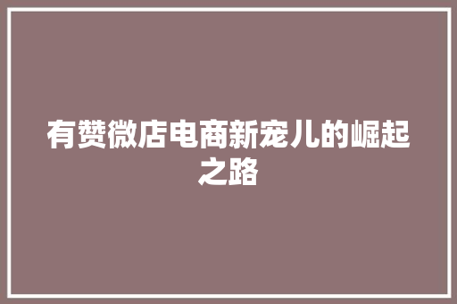 有赞微店电商新宠儿的崛起之路