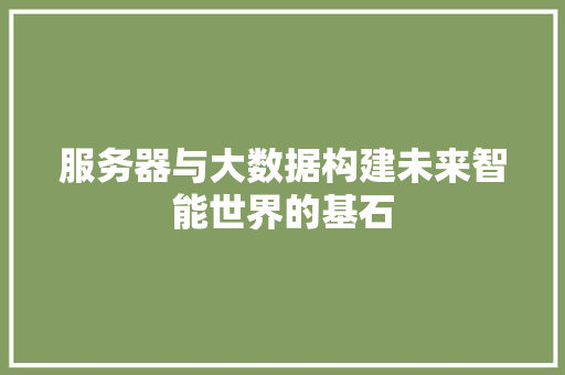 服务器与大数据构建未来智能世界的基石