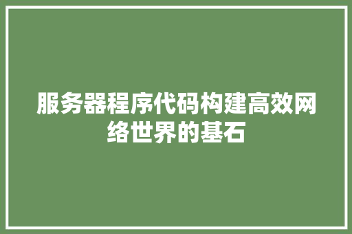 服务器程序代码构建高效网络世界的基石