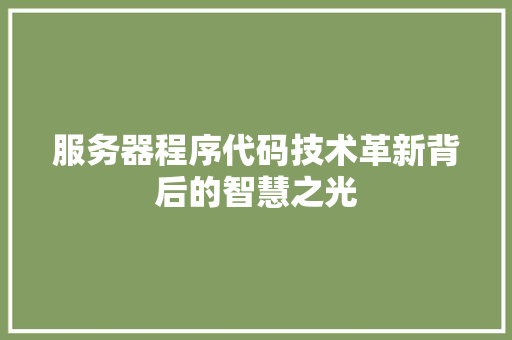 服务器程序代码技术革新背后的智慧之光