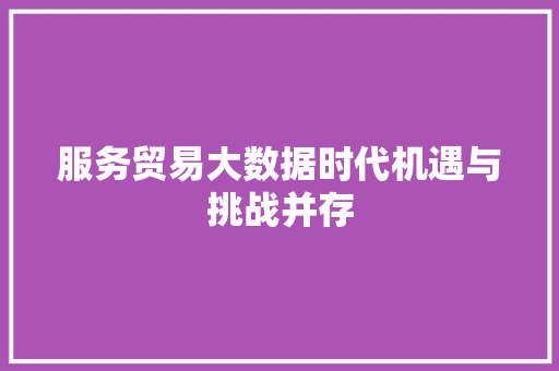 服务贸易大数据时代机遇与挑战并存