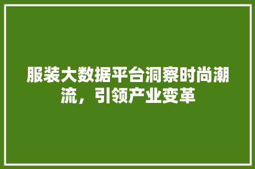 服装大数据平台洞察时尚潮流，引领产业变革