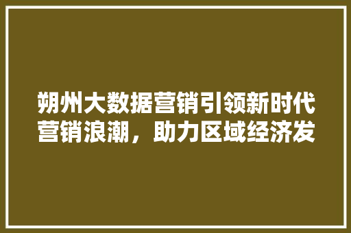 朔州大数据营销引领新时代营销浪潮，助力区域经济发展