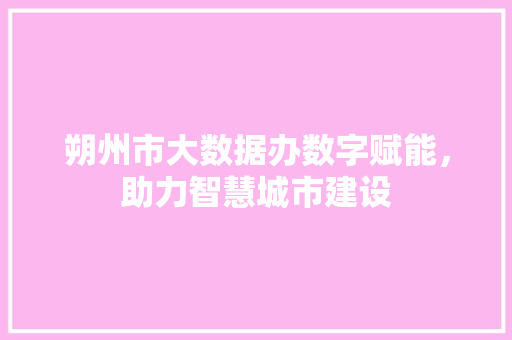 朔州市大数据办数字赋能，助力智慧城市建设