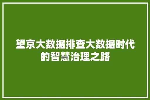 望京大数据排查大数据时代的智慧治理之路