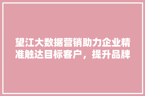望江大数据营销助力企业精准触达目标客户，提升品牌影响力