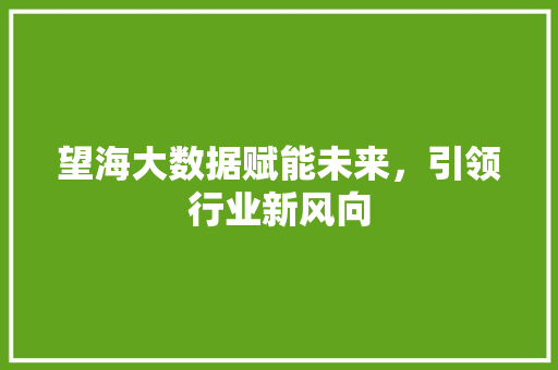 望海大数据赋能未来，引领行业新风向