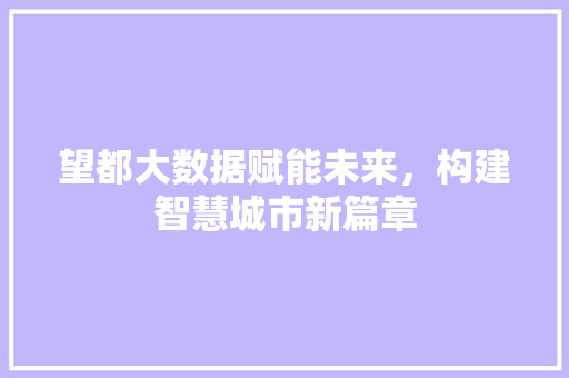 望都大数据赋能未来，构建智慧城市新篇章