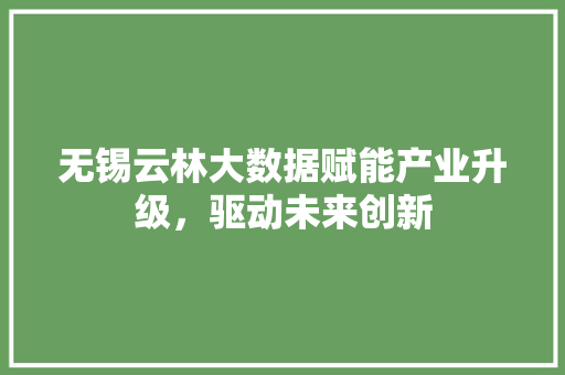 无锡云林大数据赋能产业升级，驱动未来创新