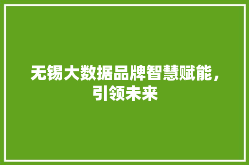 无锡大数据品牌智慧赋能，引领未来