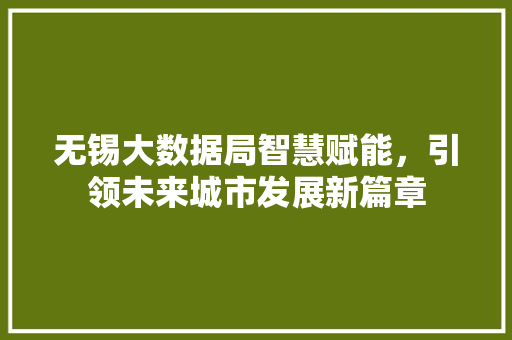 无锡大数据局智慧赋能，引领未来城市发展新篇章
