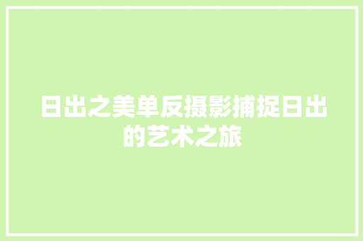 日出之美单反摄影捕捉日出的艺术之旅