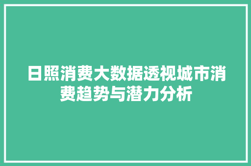 日照消费大数据透视城市消费趋势与潜力分析