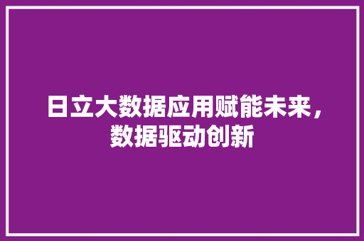 日立大数据应用赋能未来，数据驱动创新