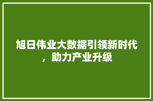 旭日伟业大数据引领新时代，助力产业升级