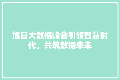 旭日大数据峰会引领智慧时代，共筑数据未来