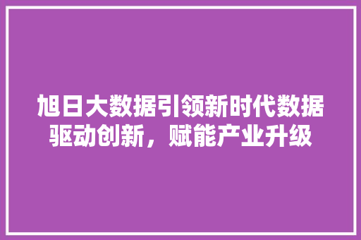 旭日大数据引领新时代数据驱动创新，赋能产业升级