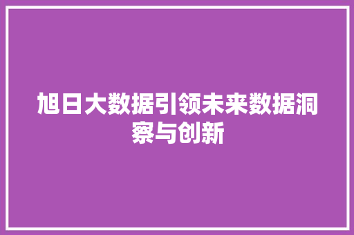 旭日大数据引领未来数据洞察与创新