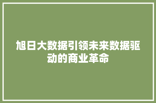 旭日大数据引领未来数据驱动的商业革命