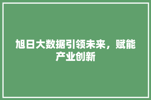 旭日大数据引领未来，赋能产业创新