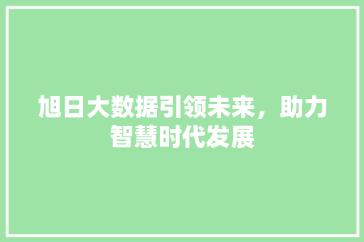 旭日大数据引领未来，助力智慧时代发展