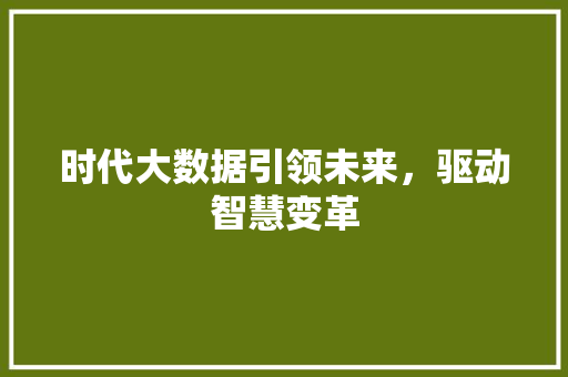 时代大数据引领未来，驱动智慧变革