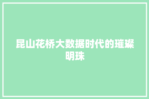 昆山花桥大数据时代的璀璨明珠