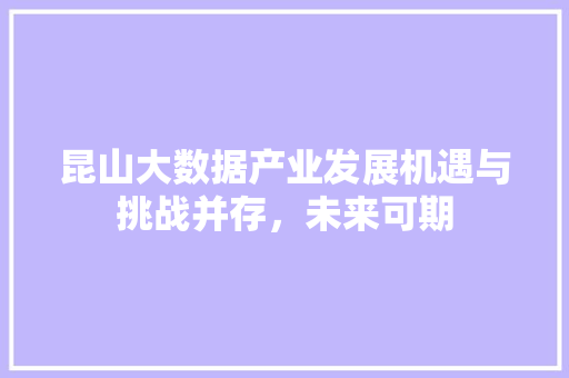 昆山大数据产业发展机遇与挑战并存，未来可期